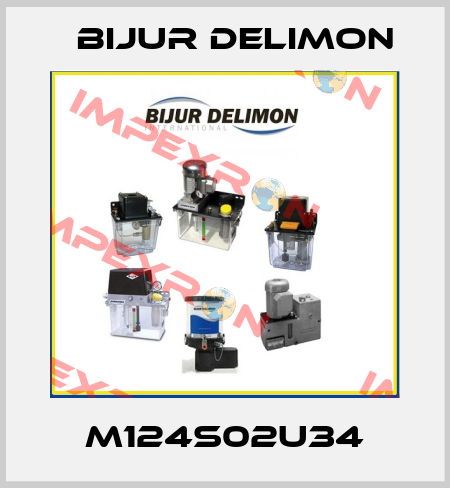 M124S02U34 Bijur Delimon