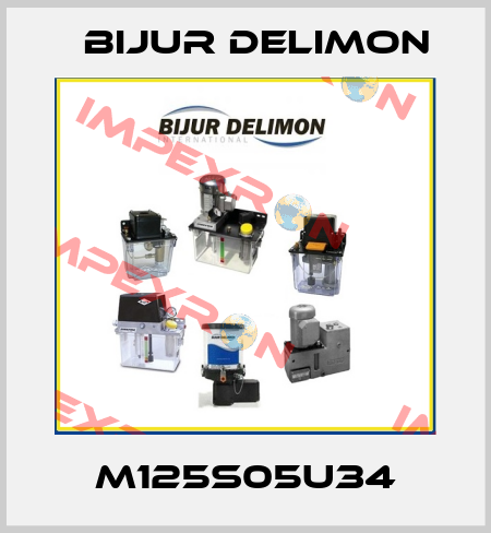 M125S05U34 Bijur Delimon