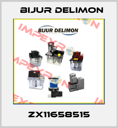 ZX11658515 Bijur Delimon