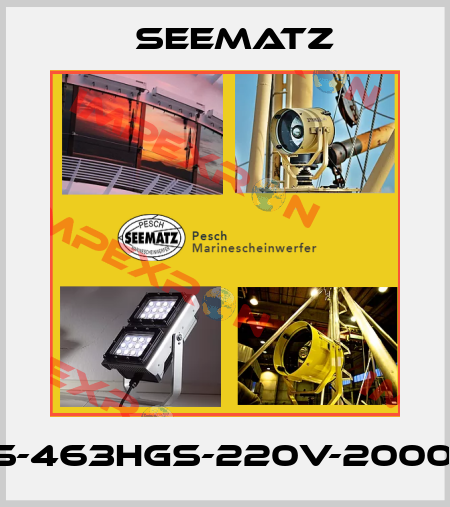 DS-463HGS-220V-2000W Seematz