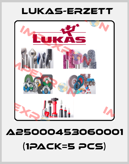 A25000453060001 (1pack=5 pcs) Lukas-Erzett