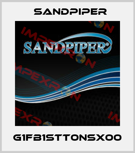 G1FB1STT0NSX00 Sandpiper