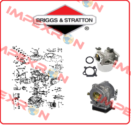 796181-BRI Briggs-Stratton