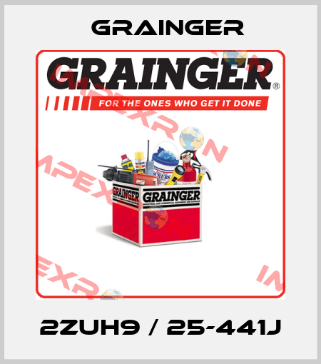 2ZUH9 / 25-441J Grainger