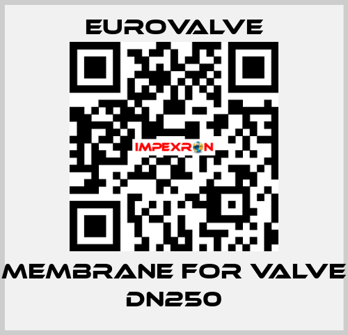 membrane for valve DN250 Eurovalve