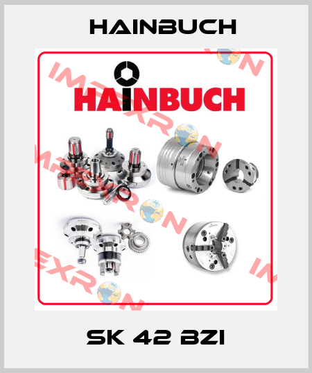 SK 42 BZI Hainbuch