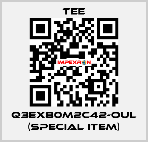 Q3EX80M2C42-OUL (special item) TEE