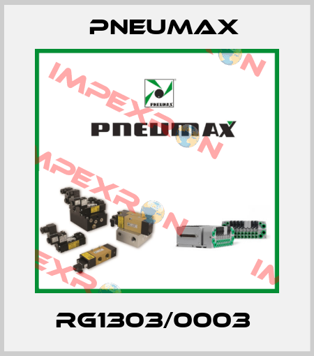 RG1303/0003  Pneumax