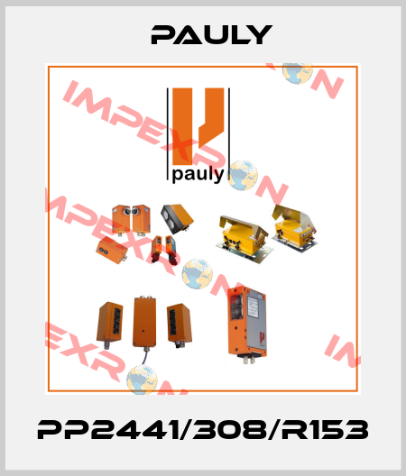 PP2441/308/R153 Pauly