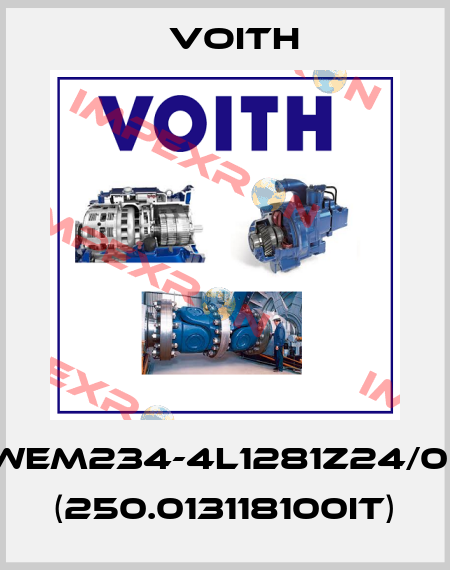 WEM234-4L1281Z24/0* (250.013118100IT) Voith