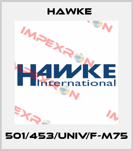 501/453/UNIV/F-M75 Hawke