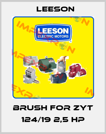 brush for ZYT 124/19 2,5 hp Leeson
