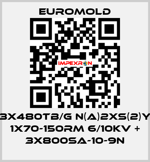 3x480TB/G N(A)2XS(2)Y 1X70-150RM 6/10KV + 3x800SA-10-9N EUROMOLD