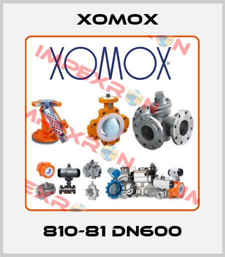 810-81 Dn600 Xomox