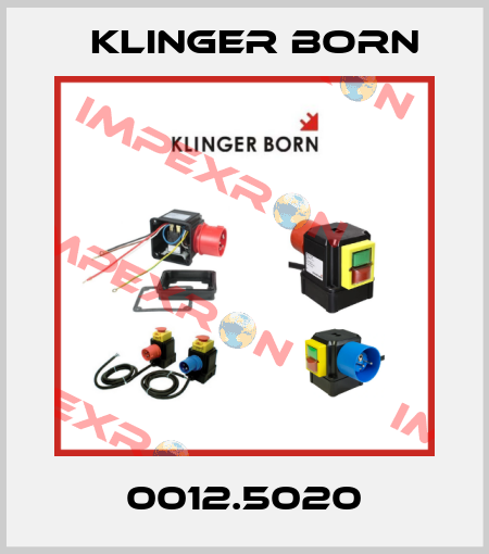 00125020 Klinger Born