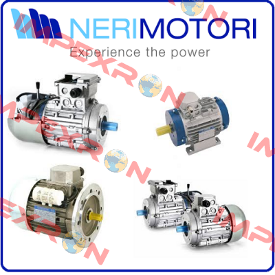 MR200L KW30 4P B35 V400/690 IE3 Neri Motori