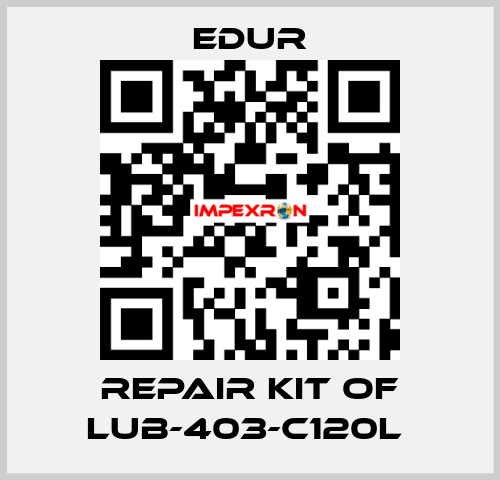 REPAIR KIT OF LUB-403-C120L  Edur