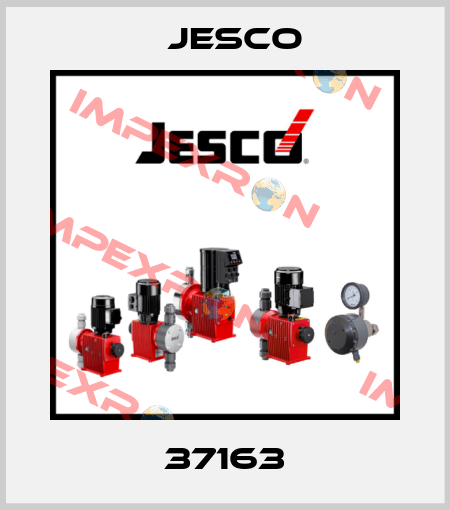 37163 Jesco
