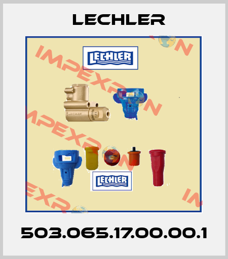 503.065.17.00.00.1 Lechler