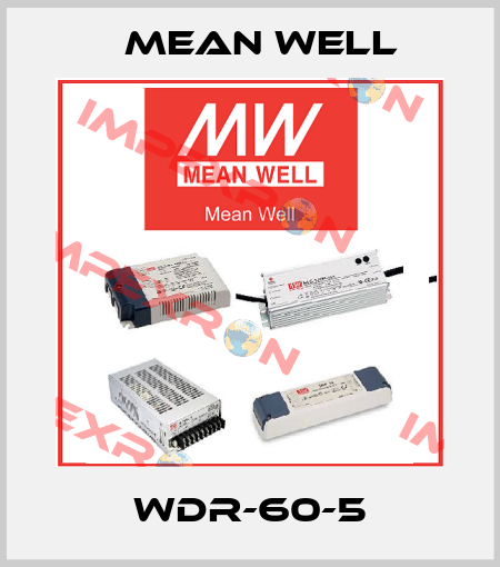 WDR-60-5 Mean Well
