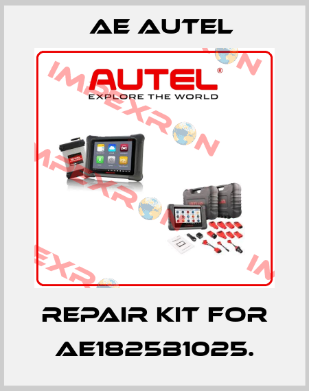 repair kit for AE1825B1025. AE AUTEL