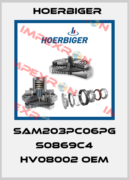 SAM203PC06PG S0869C4 HV08002 OEM Hoerbiger