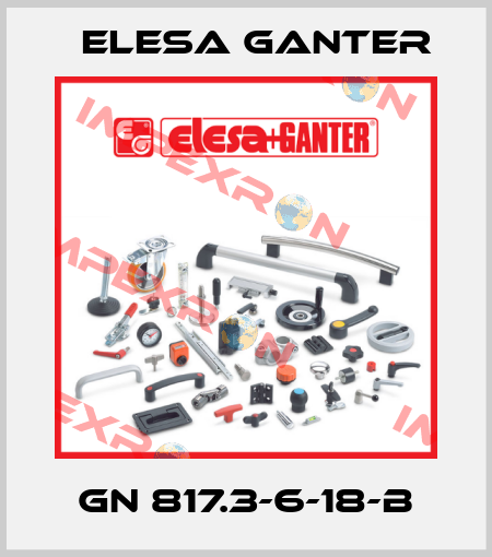GN 817.3-6-18-B Elesa Ganter