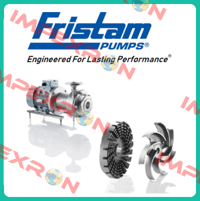 FL100S S/N 0690510066 Fristam