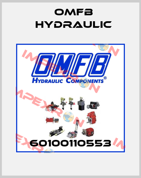 60100110553 OMFB Hydraulic