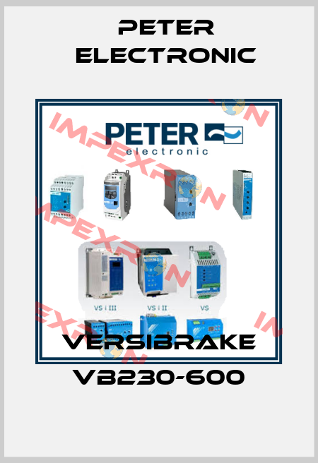 VersiBrake VB230-600 Peter Electronic
