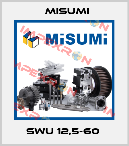 SWU 12,5-60  Misumi