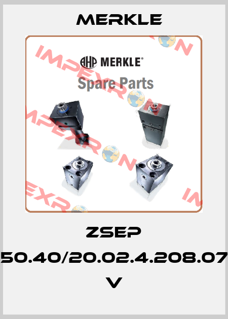 ZSEP 250.40/20.02.4.208.075 V Merkle