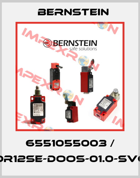 6551055003 / OR12SE-DOOS-01.0-SVC Bernstein