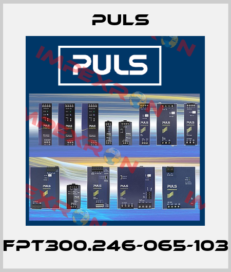 FPT300.246-065-103 Puls