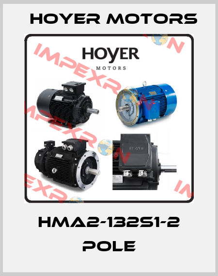 HMA2-132S1-2 pole Hoyer Motors