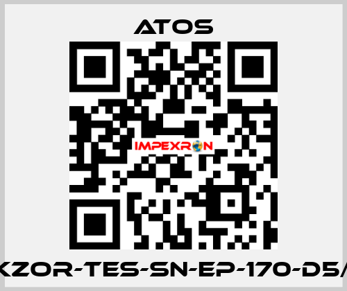 DKZOR-TES-SN-EP-170-D5/FI Atos