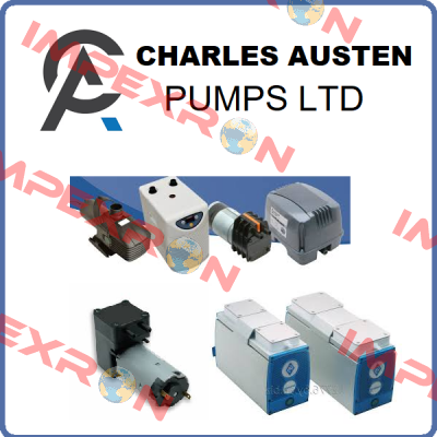 X41-257 Charles Austen Pumps