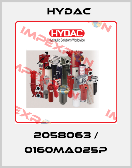 2058063 / 0160MA025P Hydac