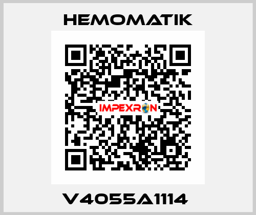 V4055A1114  Hemomatik