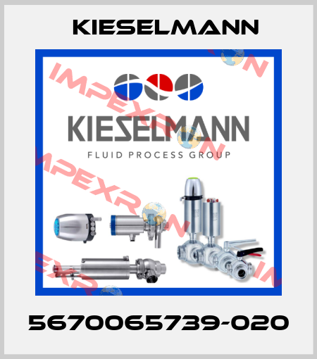 5670065739-020 Kieselmann
