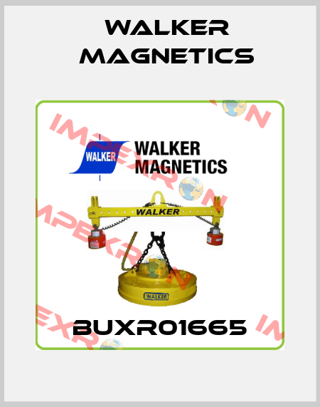 BUXR01665 Walker Magnetics