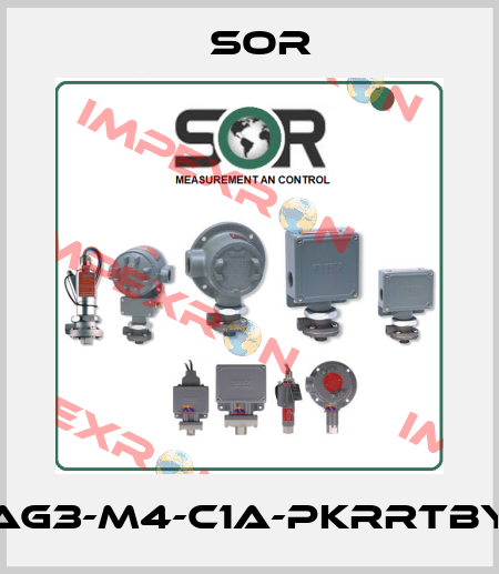101AG-AG3-M4-C1A-PKRRTBYYC1C4 Sor