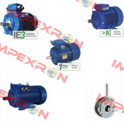 Elektrim DS-Motor 3SIE 180 L-4 Cantoni