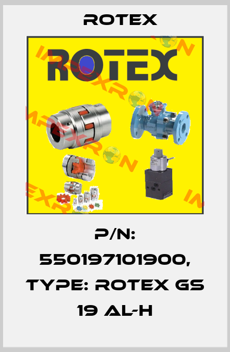 P/N: 550197101900, Type: ROTEX GS 19 AL-H Rotex
