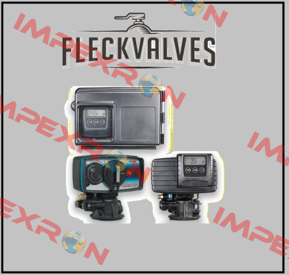 61500-2900 Fleck Valves