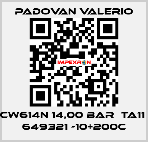 CW614N 14,00 BAR  TA11  649321 -10+200C PADOVAN VALERIO