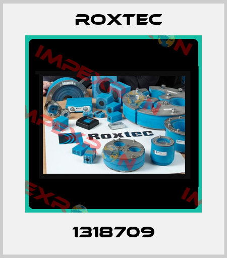 1318709 Roxtec