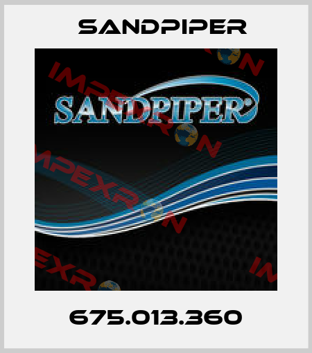 675.013.360 Sandpiper