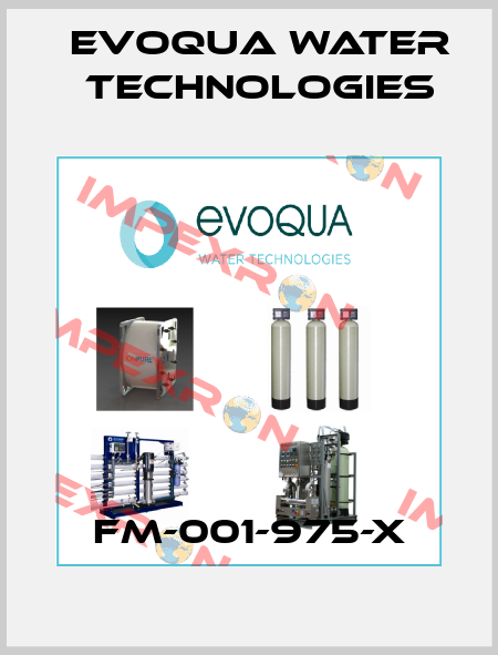 FM-001-975-X Evoqua Water Technologies