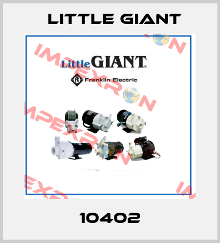 10402 Little Giant
